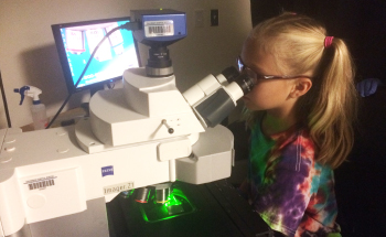 Young recruit: Beth Stevens' daughter, Riley, inspects brain tissue during a visit to her mother's lab.Courtesy of Beth Stevens