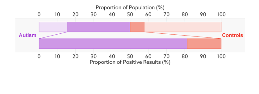 Positive prediction: In this sample (upper bar), half of the people have autism (purple). Of those who have tested positive for autism (dark sections), 81 percent actually have autism (bottom bar). This is the test’s positive predictive value.