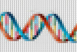 Illustration of DNA in cross stitch pattern
