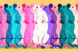 a row of colorful mice standing close together